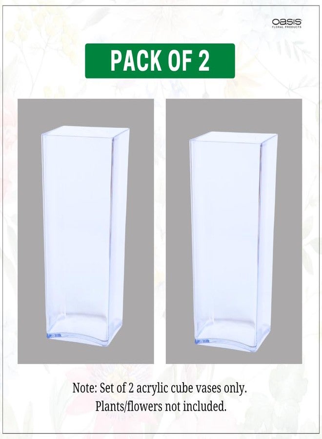 Oasis Pack of 2 Acrylic Tall Cube Vase for Home Decor,Office, Living Room | Modern Clear Flower Planter Pot for Plants, Buds & Flowers | Ideal for Gifting for Any Occasion (12cm x 12cm x 25 cm) - Image 2
